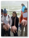 dscn6566.jpg