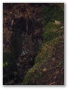 dscn6585.jpg