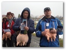 dscn6595.jpg