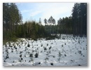 dsc00260.jpg